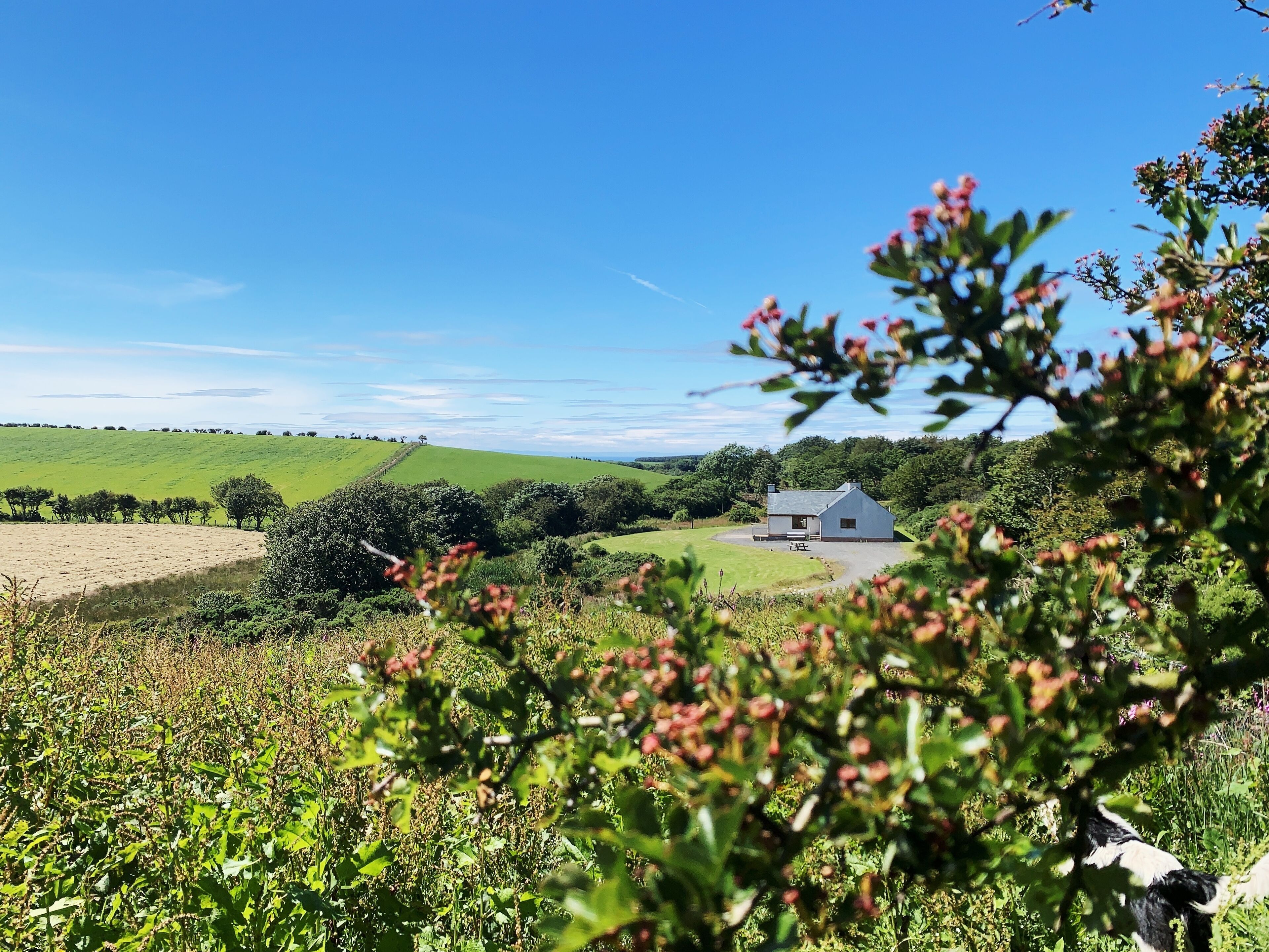 Paisagem rural com uma casa branca rodeada por campos verdes e árvores.