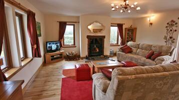 TV, fireplace, DVD player, books