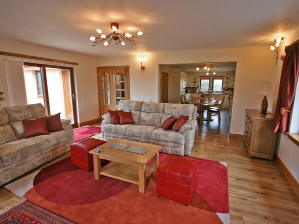 電視、壁爐、DVD 播放機、書籍