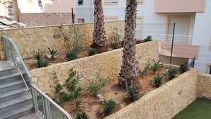 Zona ajardinada con muros de piedra, palmeras y diversas plantas.