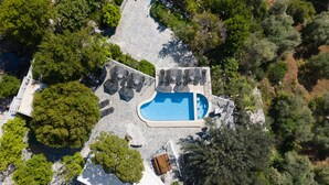Vista aèria d'una propietat amb piscina envoltada de rajoles de pedra, arbres i una petita construcció de fusta.