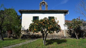 Ein weißes Gebäude mit einem Glockenturm, grünen Fensterläden und einem Baum mit orangefarbenen Früchten davor.