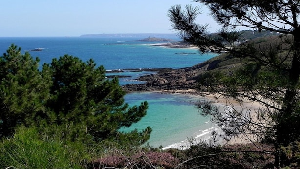 Un paisaje costero con aguas turquesas cristalinas, costas rocosas y densos pinos.
