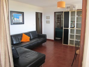 TV, fireplace, DVD player, books