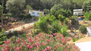 A residential area with two white houses, surrounded by dense greenery and flowering plants. - Rustic house, sea view, 6 people, terrace with barbecue.  (Sesimbra)