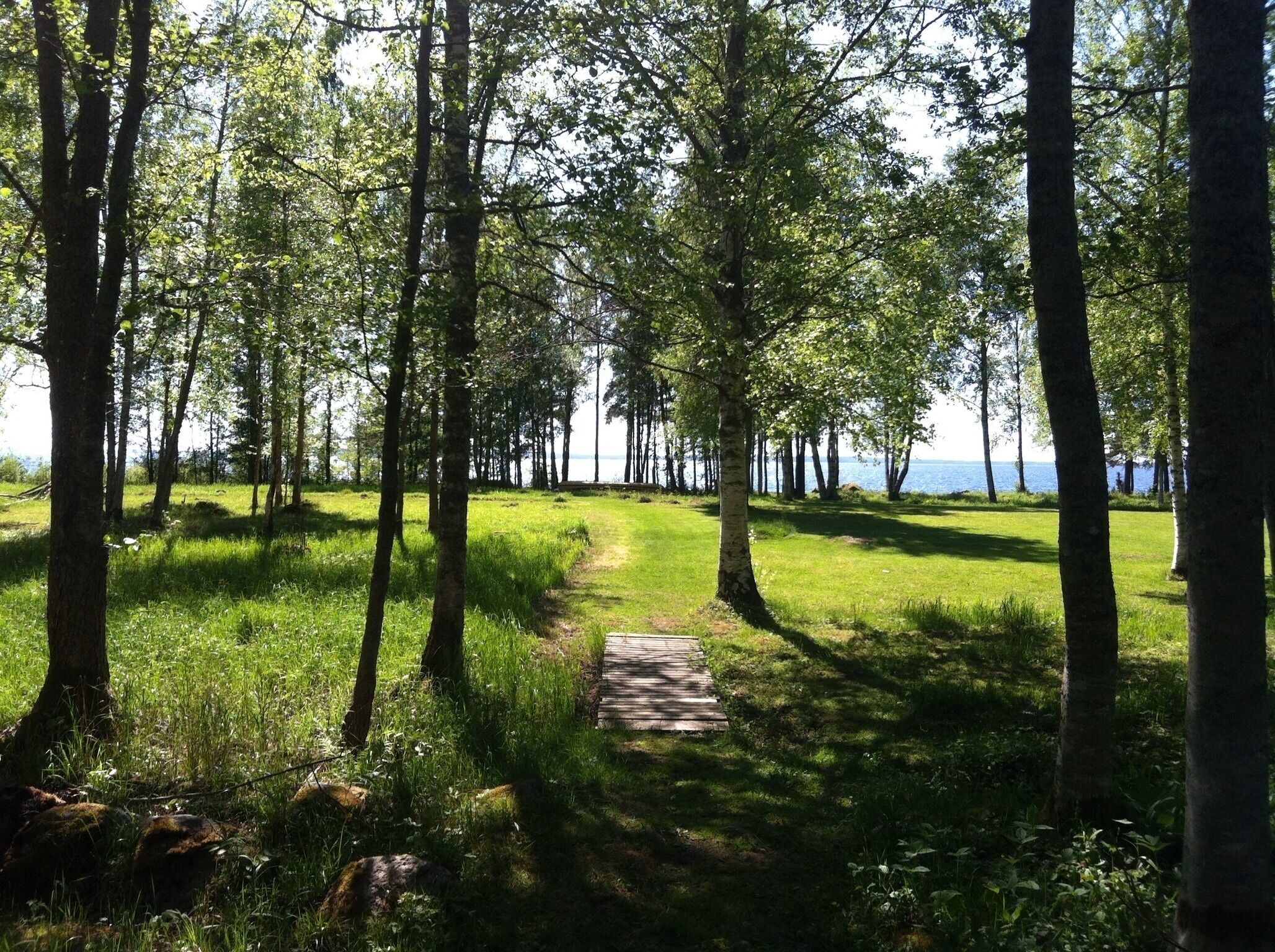 A forested area with a clear path leading to a body of water.