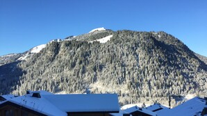 A mountain with snow-covered trees and a clear sky. There are buildings with snow on their roofs in the foreground. - Chatel Centre - 50 M to Ski Lift (Châtel)