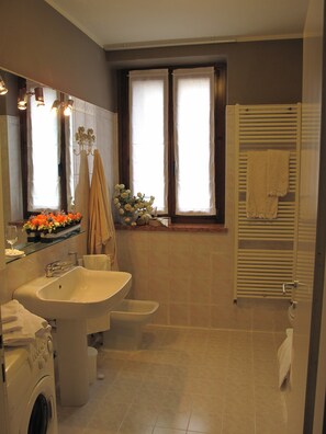 Combined shower/tub, hair dryer, bidet, towels
