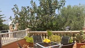 Um terraço com mesa e cadeiras, cercado por plantas em vasos e um cacto.
