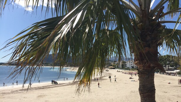 Uma praia com palmeiras, pessoas e edifícios ao fundo.