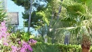 Um jardim com diversas plantas e uma palmeira.