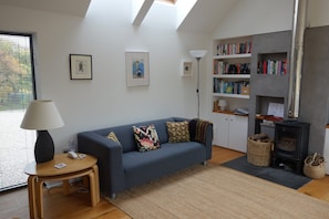 Fernseher, Kamin, DVD-Player, Bücher