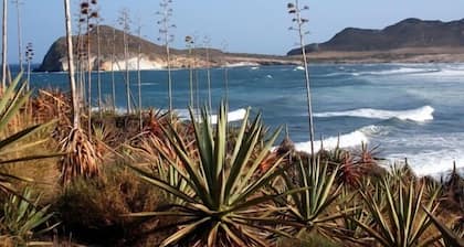 Appartment in front of the sea in the Natural Park of Cabo de Gata