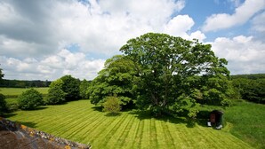 Un campo cubierto de hierba con un árbol grande y una construcción pequeña.