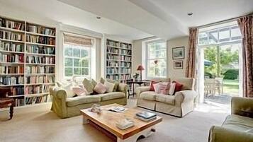 电视、壁炉、DVD 播放器、书