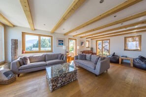 Télévision, cheminée, lecteur de DVD, livres