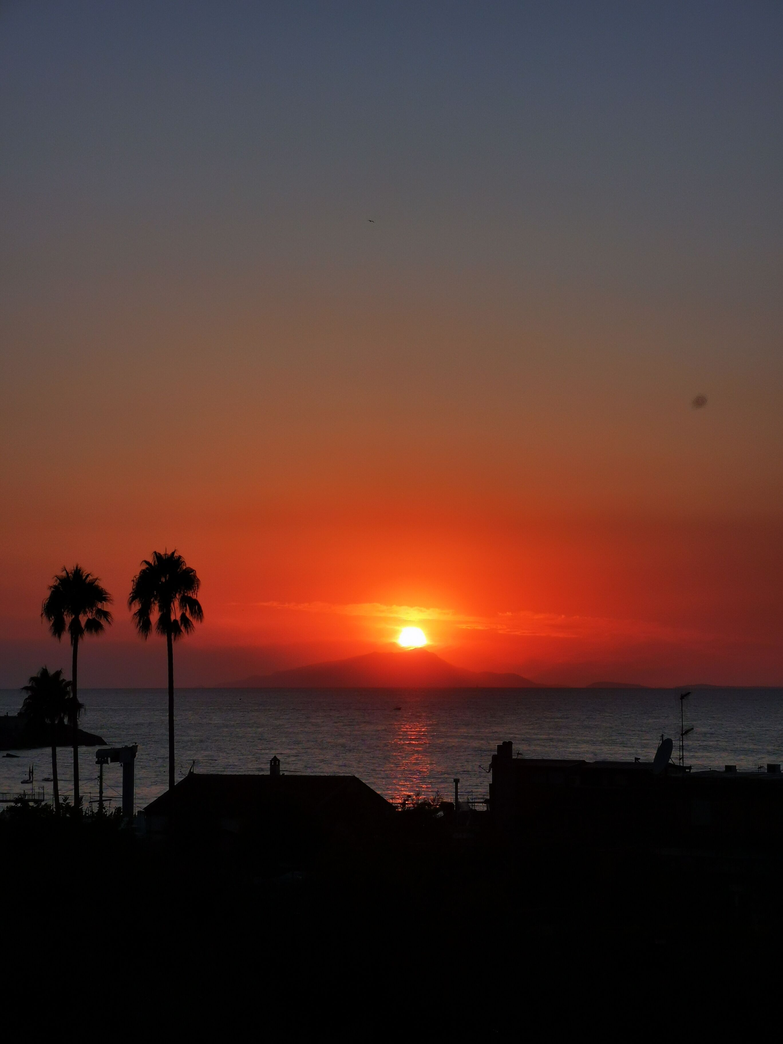 Un coucher de soleil sur l’océan, avec des palmiers se découpant en silhouette sur le ciel.
