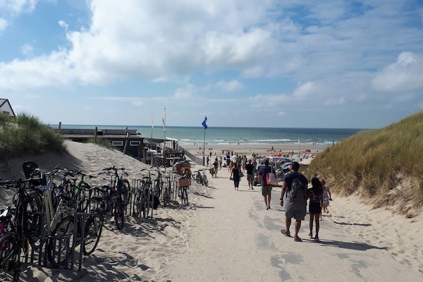 In StrandnĂ€he, LiegestĂŒhle