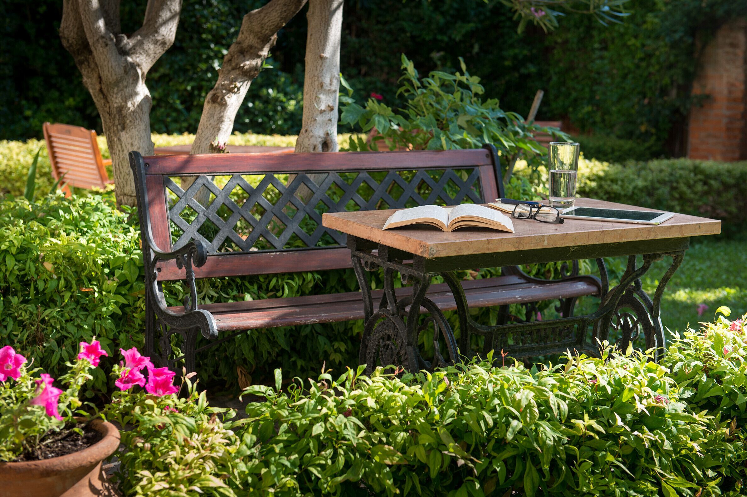 Eine hölzerne Bank mit Gitterlehnen in einem Garten.