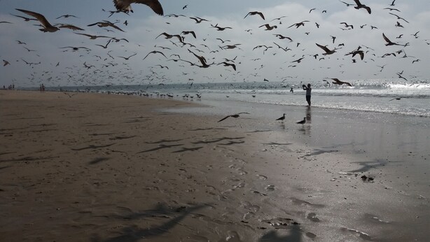 Una platja amb sorra i ones.