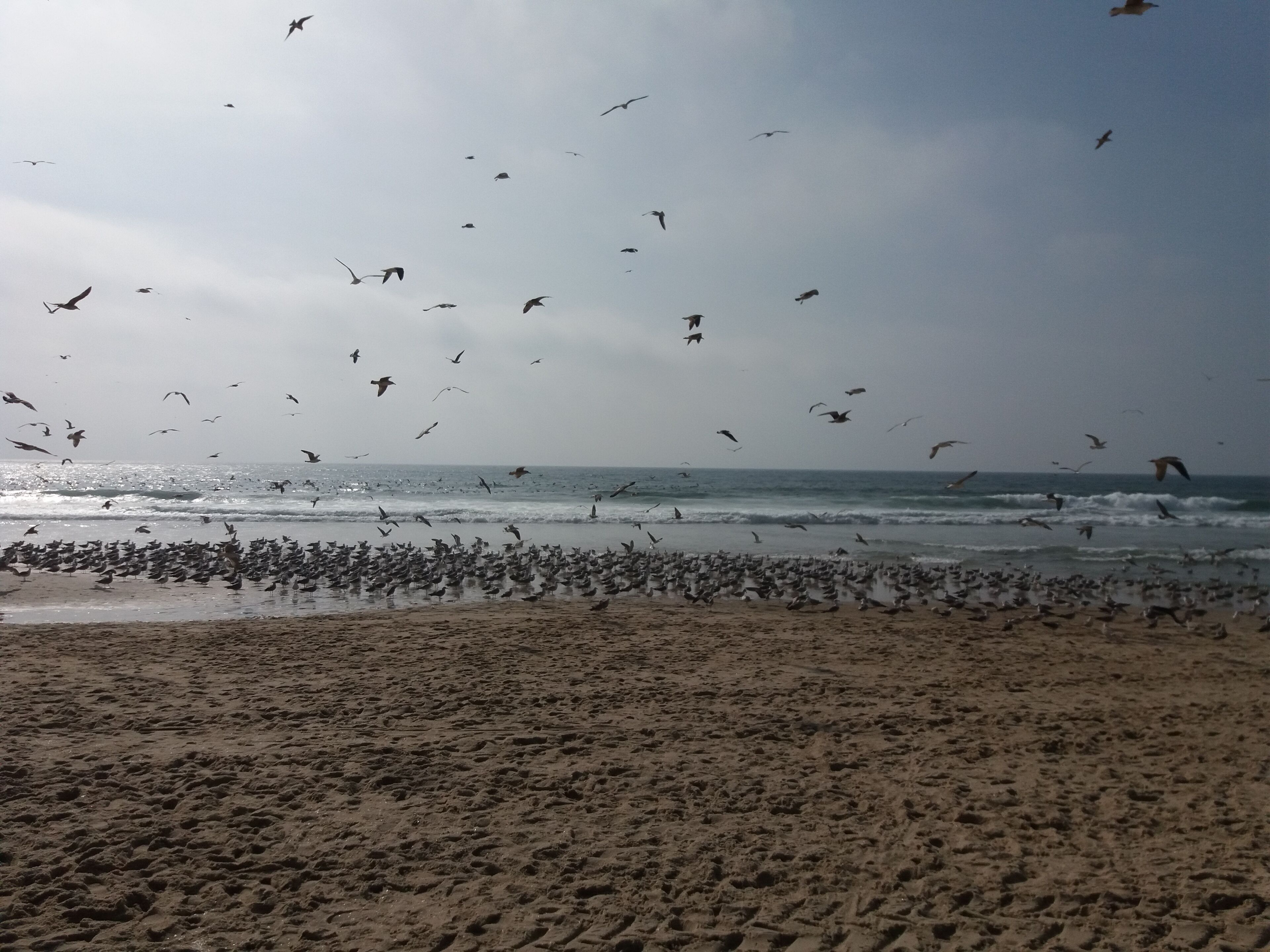 Una spiaggia nelle vicinanze