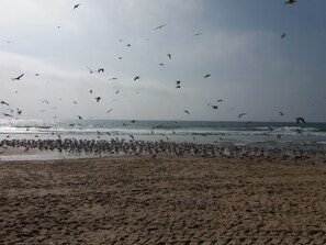 Playa en los alrededores 