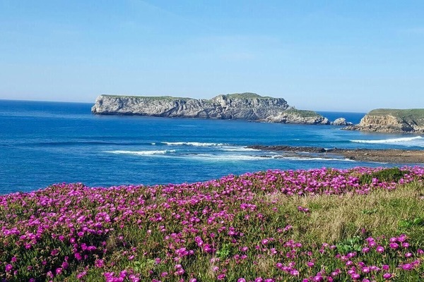 Platja a a prop i gandules de platja