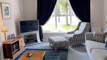 Smart TV, fireplace, DVD player, books