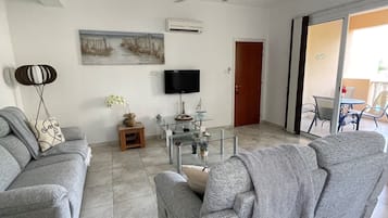 Älytelevisio, kirjoja