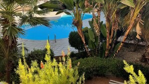 A pool surrounded by tropical plants and a clear blue sky. - Luxury apartment, UK TV and free WIFI. Near beach and restaurants, pool view   (Paphos)