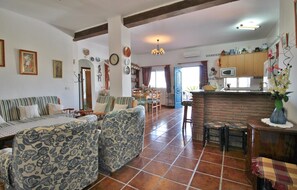 Télévision, cheminée, lecteur de DVD