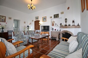 Télévision, cheminée, lecteur de DVD