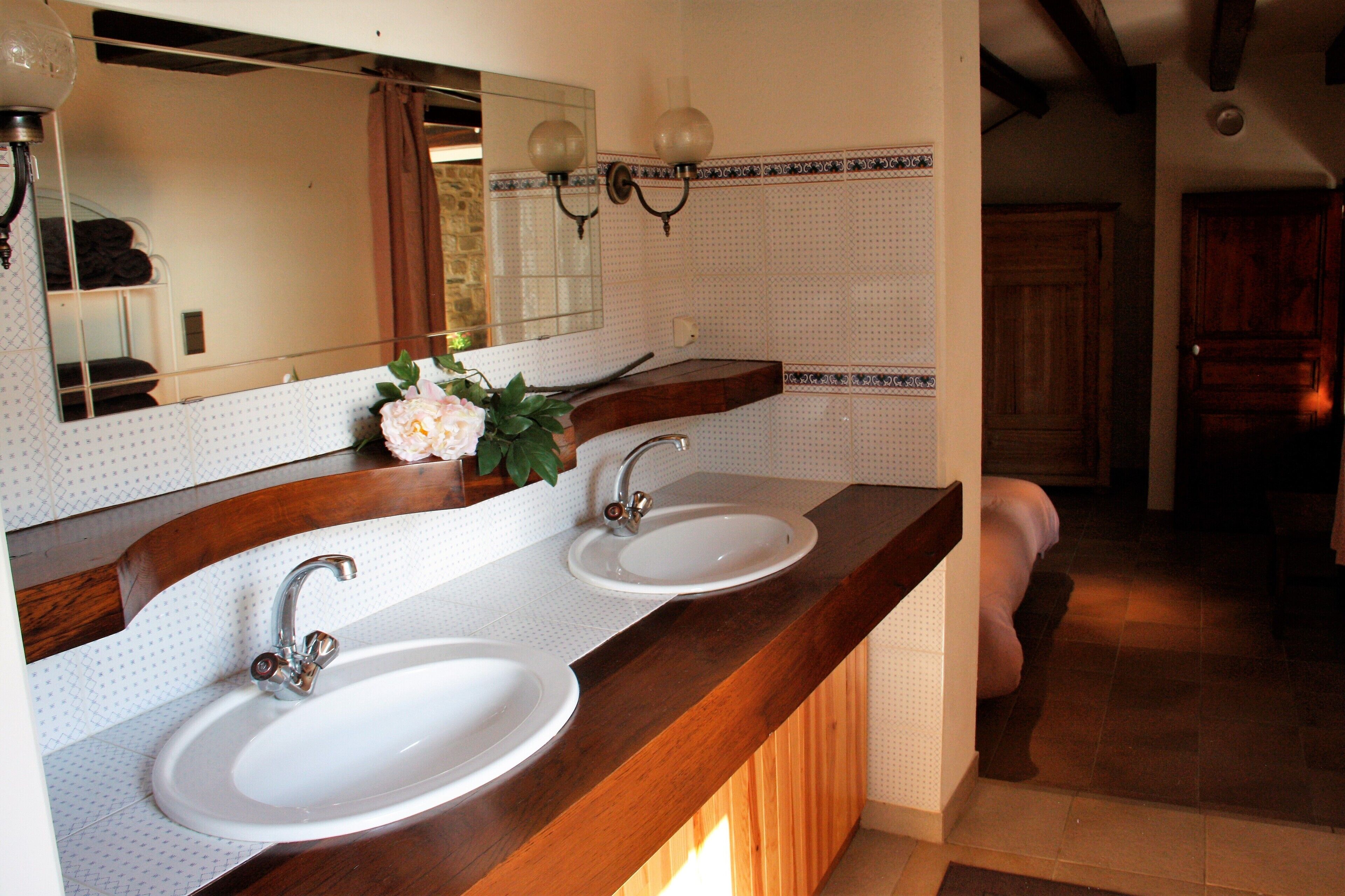 A bathroom with two sinks, a mirror, and a potted plant.
