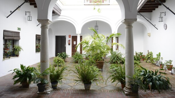 Une cour intérieure agrémentée d’arcades, de colonnes et de plantes en pot.