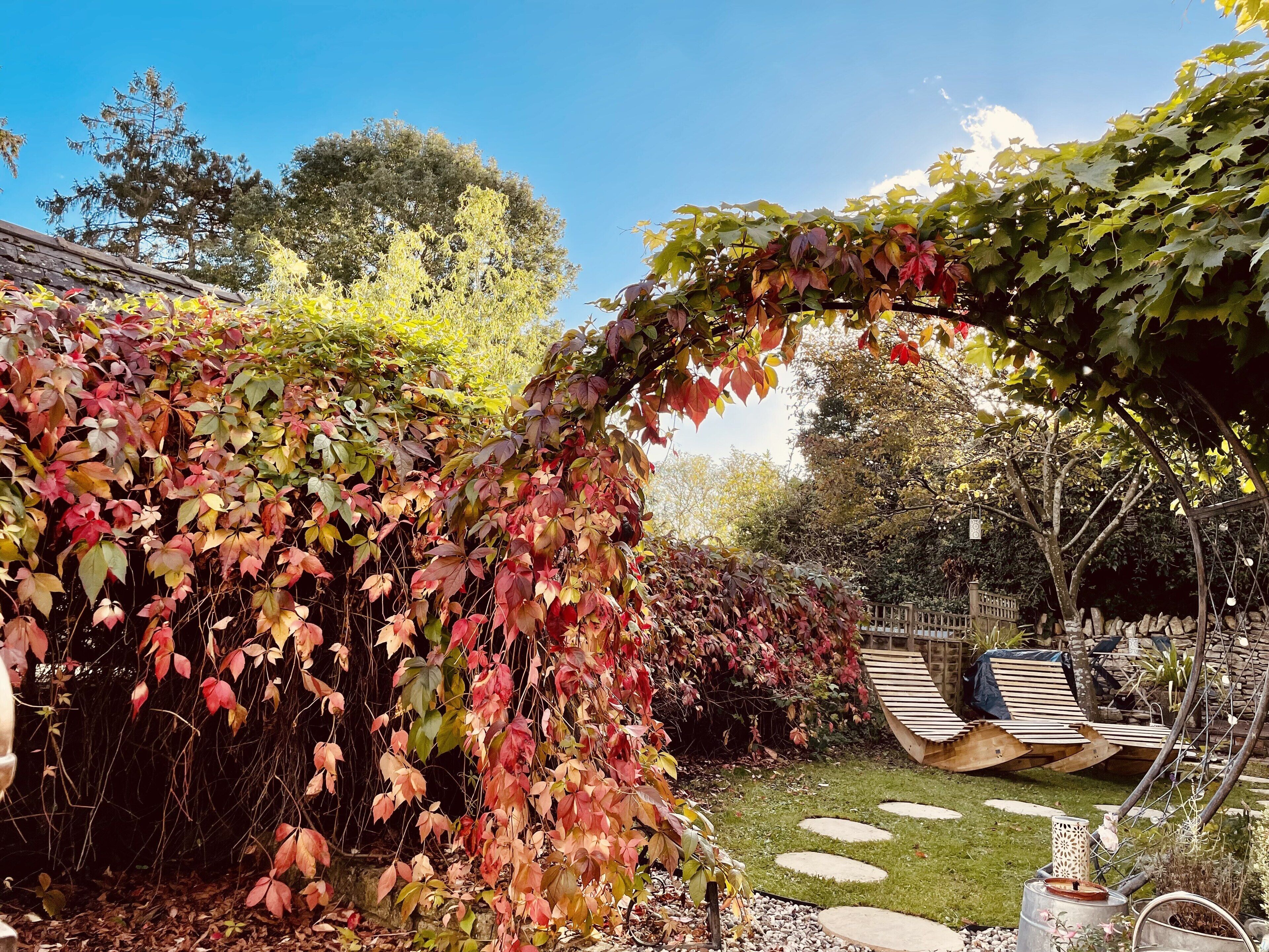 Un jardin agrémenté d’une pergola recouverte de lierre, d’une terrasse en bois avec des chaises et d’un chemin en pierre.