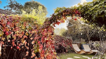 A garden with a pergola covered in ivy, a wooden deck with chairs, and a stone pathway.