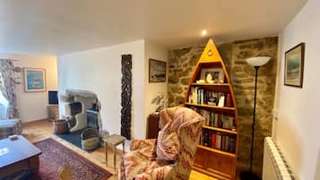 Smart TV, lareira, DVD player, livros