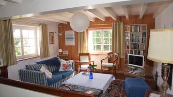 Televisión, chimenea, reproductor de DVD y libros