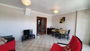 TV, DVD player, books, video library