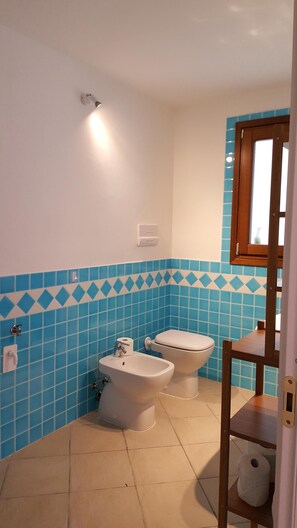 Regadera, secadora de cabello, bidet, toallas 