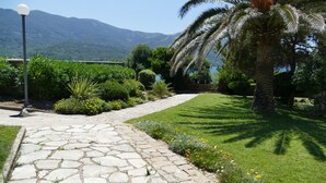 Uma trilha de pedra serpenteia por um jardim bem cuidado, com diversas plantas e uma palmeira.