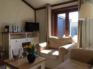 تلفزيون، مشغل دي في دي، ستيريو