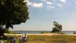 En strand med cykler parkeret på græsset, et træ og en klar himmel.