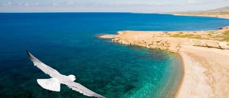Plage à proximité