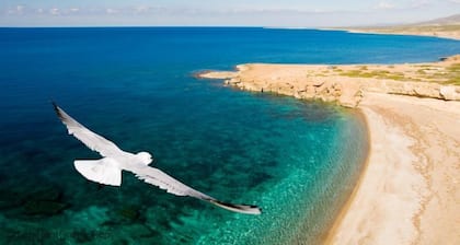 Skytrees Villa - 4 Bed, 3 Bath Villa with Private Pool near the Sea. Walk to Tavernas