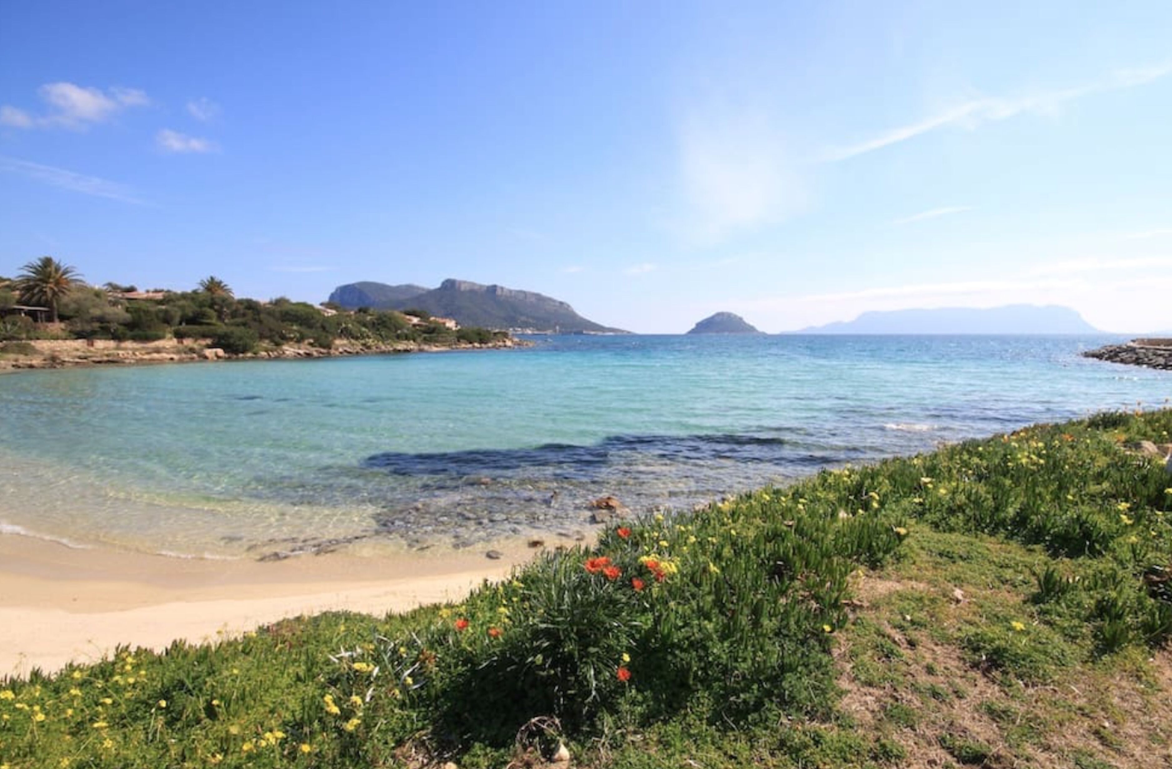 Plage, chaises longues