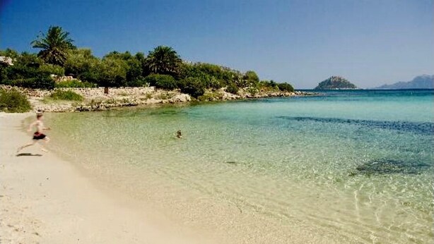 A beach with clear turquoise water, a sandy shore, and lush greenery in the background. - House 50 meters from the sea residence S'ABBA E SA PEDRA  (Golfo Aranci)