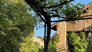 Un jardin agrémenté d’une pergola, d’un chemin de gravier et d’une pelouse verdoyante.