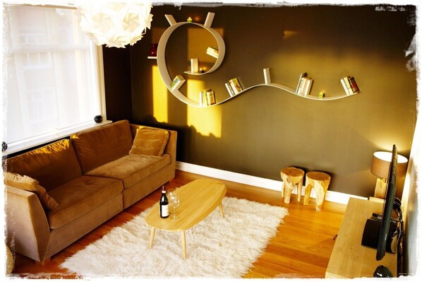 Televisio, DVD-soitin, kirjoja, musiikkikirjasto