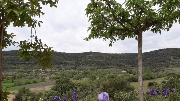Un jardin agrémenté de fleurs violettes, offrant une vue sur un paysage vallonné.